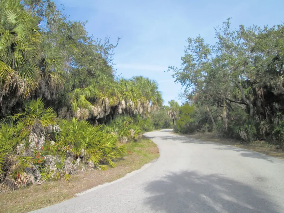 Shaded bike path through trees at Fort De Soto Park, one of the best bike trails near St. Pete Florida