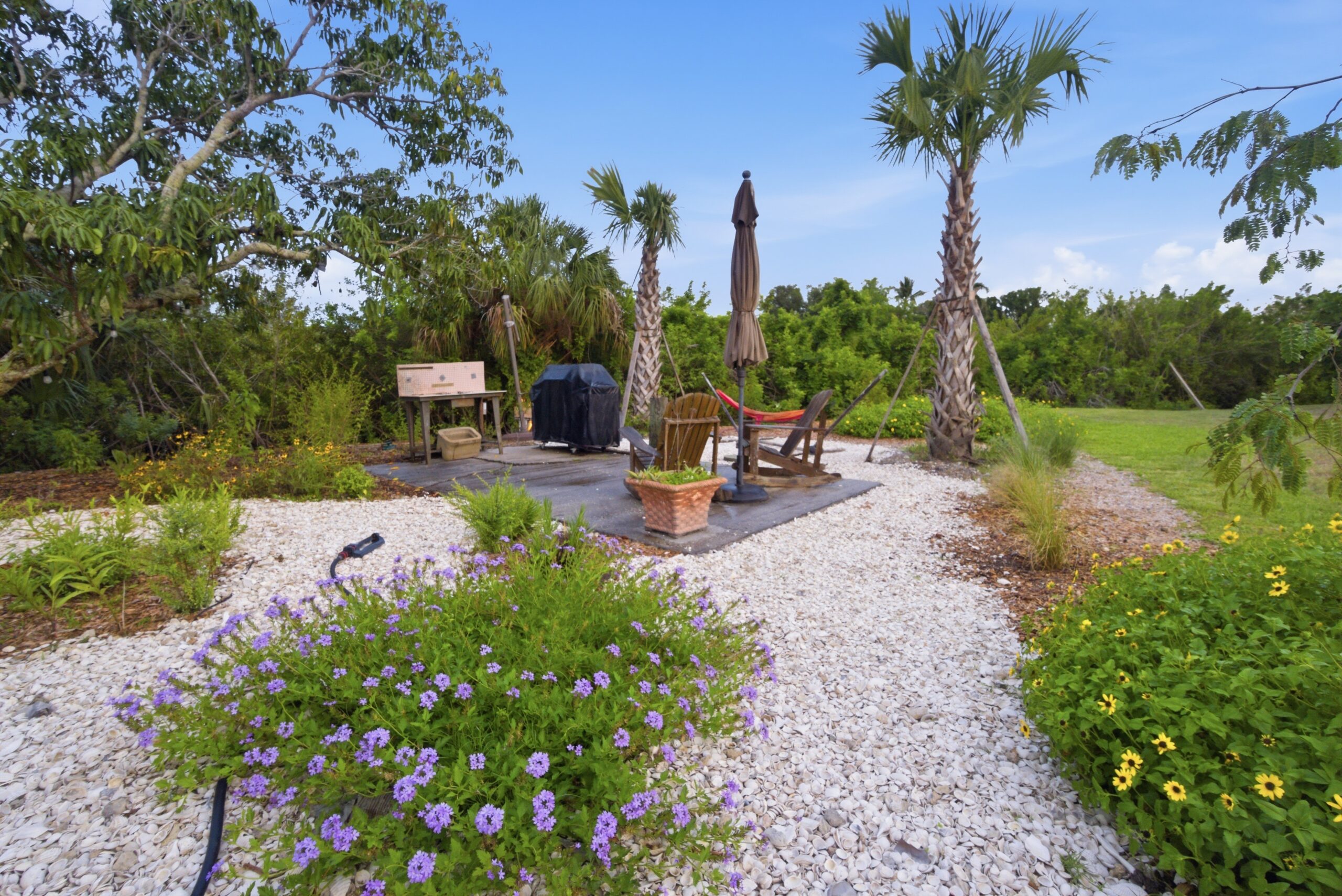 Shellmate Island tiny house retreat in Sarasota, Florida — screened-in communal lounge with pink hammock between sabal palms, white shell gravel pathways, and native butterfly garden plantings including beach sunflowers and muhly grass.