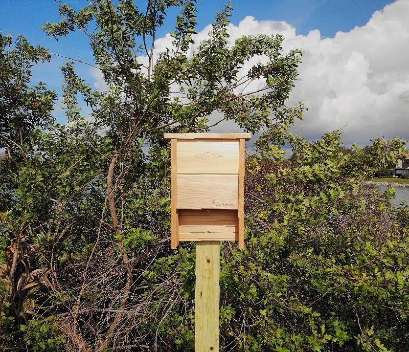 A wooden bat house mounted on a post above the native Florida plants on Shellmate Island under a blue sky